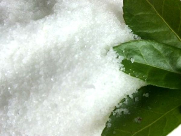 阴离子聚丙烯酰胺