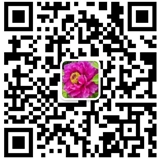 河南泓清泉化工产品有限公司